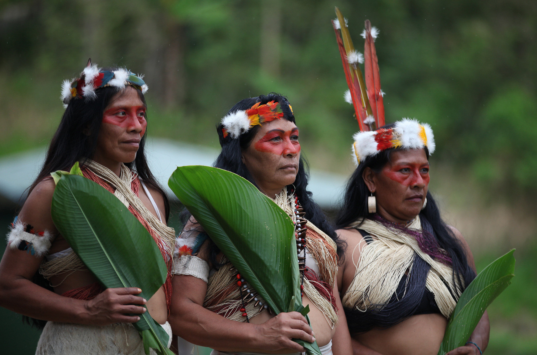 Indigenous people of the amazon