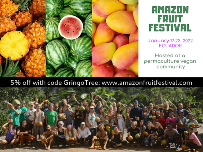Amazon Fruit Festival GrinoTree Banner