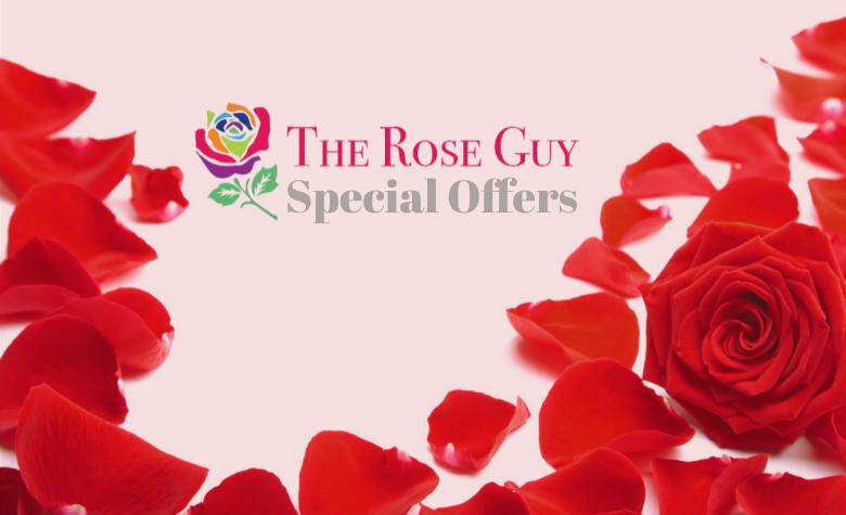 The Rose Guy Cuenca Offers