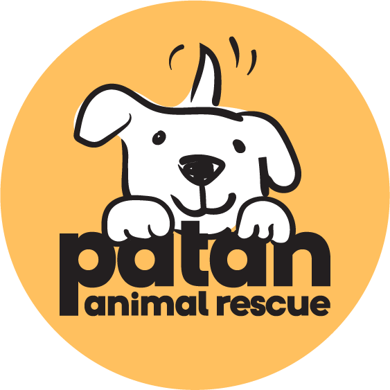Patan Animal Rescue