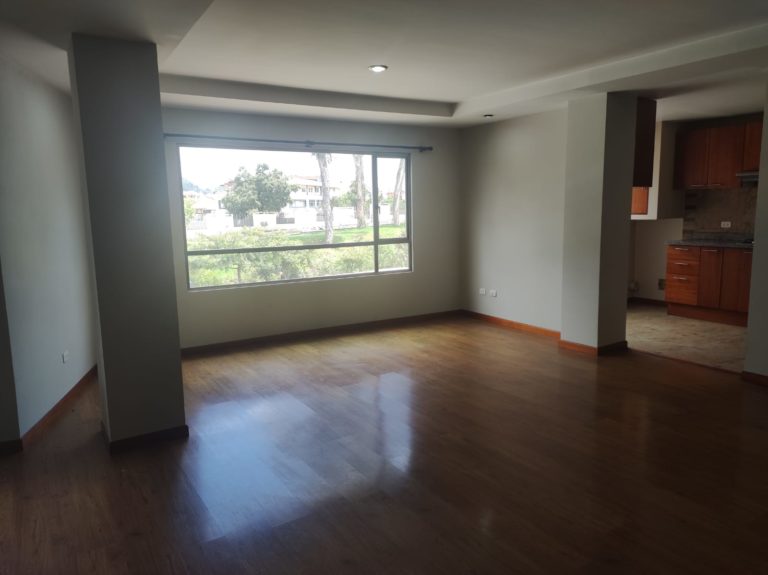 2 BDR Apartment for Rent in Zona Rosa - Living 4