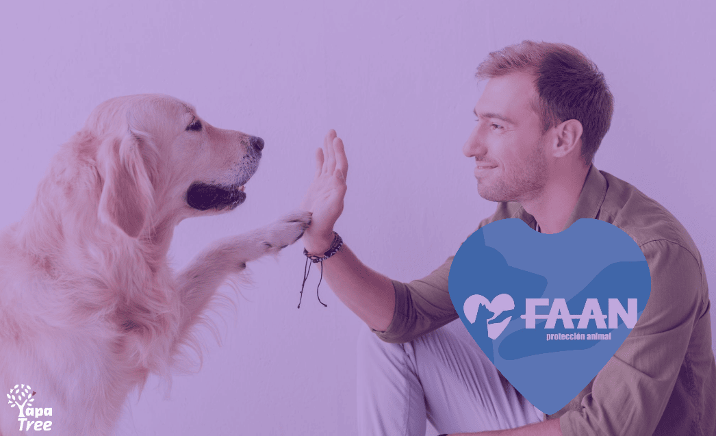 Celebrate World Animal Day with FAAN