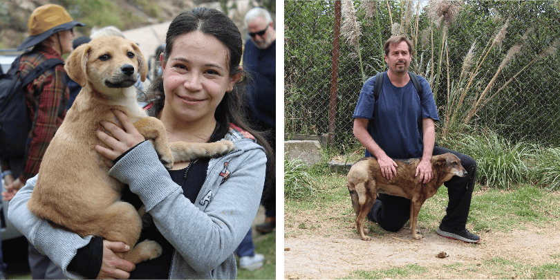 FAAN Cuenca - Dog Volunteering