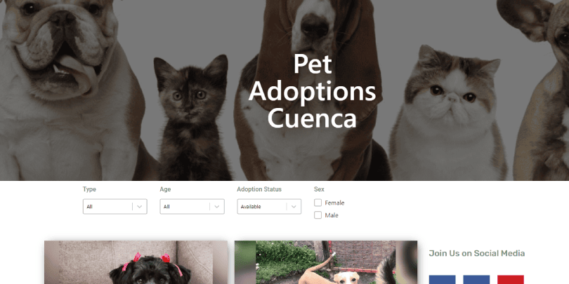 Upload Your Cuenca Pets for Adoption