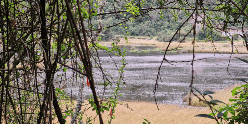 Lake Llaviuco in Cajas