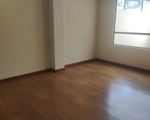 2 BDR Apartment for Rent in Zona Rosa - Living 2