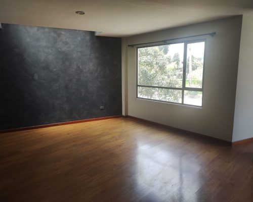 2 BDR Apartment for Rent in Zona Rosa - Living 3