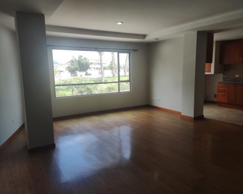 2 BDR Apartment for Rent in Zona Rosa - Living 4