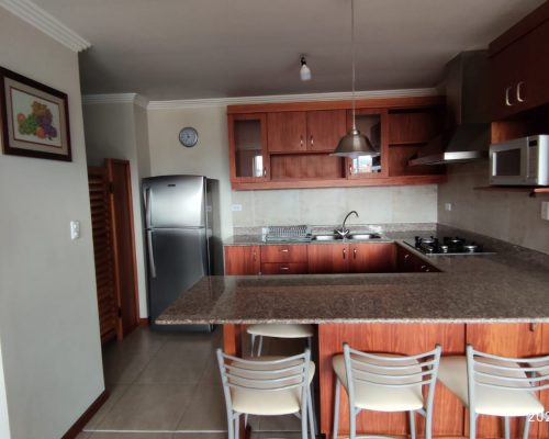 2 BDR Fully Furnished Apartment for Rent Near Solano - Kitchen 2