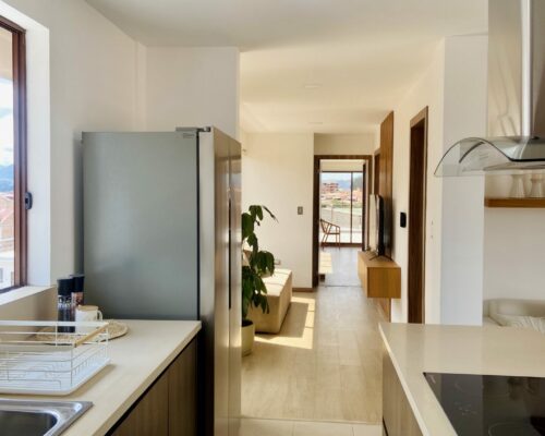 2bdr Penthouse In Puertas Del Sol (turnkey) (8)