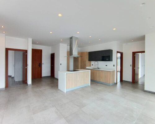 3BDR Luxury Apartment with Huge Terrace (12)