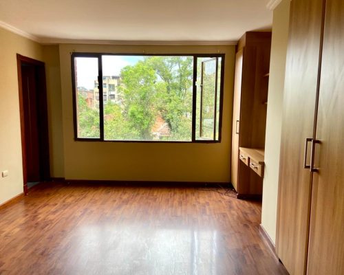 Affordable and Elegant 2BDR Apartment in Gringolandia - 2