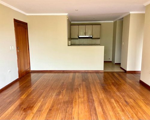Affordable and Elegant 2BDR Apartment in Gringolandia - 8
