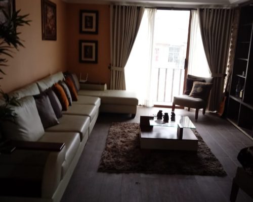 Beautiful Fully Furnished Apartment for Rent in El Centro - Living