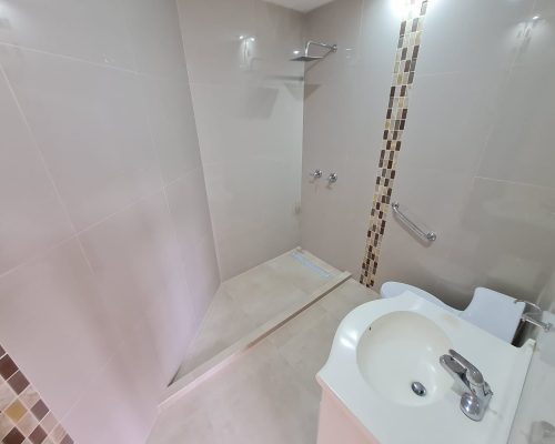 Charming 3BDR Apartment in Gringolandia (Washer and Dryer Included) - Bathroom