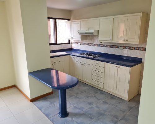 Charming 3BDR Apartment in Gringolandia (Washer and Dryer Included) - Kitchen 2