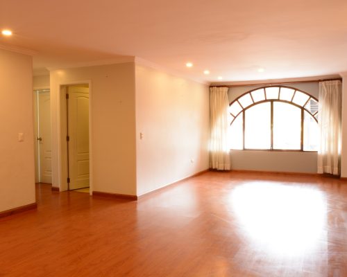 Classy 3BDR Apartment Fully Remodeled in Gringolandia - Social Area 1