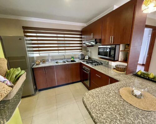 Fully Furnished 2BDR Apartment for Rent (7)