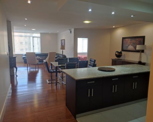 Fully Furnished Luxury Apartment For Lease (incl Swimming Pool & Sauna) - Kitchen Living