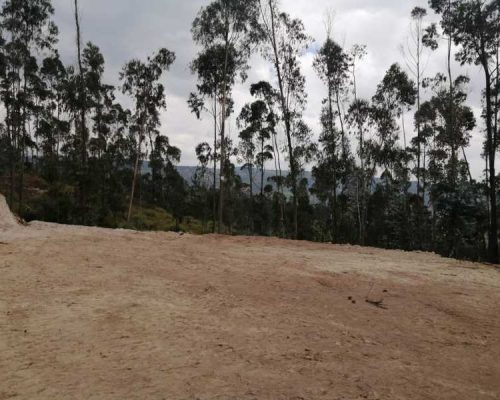 Land For Sale From 1000 Meters In El Portete - Tarqui In Private Urbanization 6