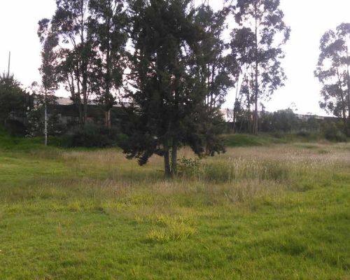 Land For Sale In Private Urbanization In Chaullabamba 4
