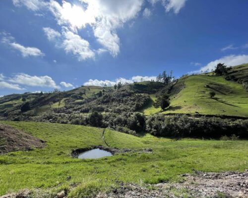 Land for Sale in Tutupali Chico (near Tarqui) $6 per m2 10