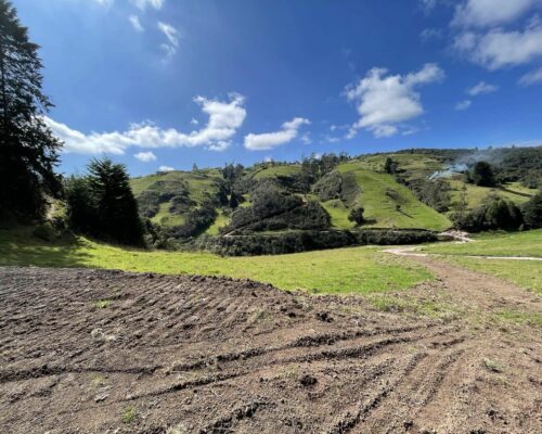 Land for Sale in Tutupali Chico (near Tarqui) $6 per m2 17
