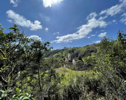 Land for Sale in Tutupali Chico (near Tarqui) $6 per m2 20
