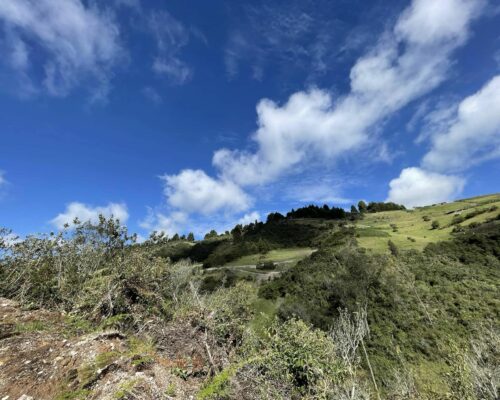 Land for Sale in Tutupali Chico (near Tarqui) $6 per m2 4