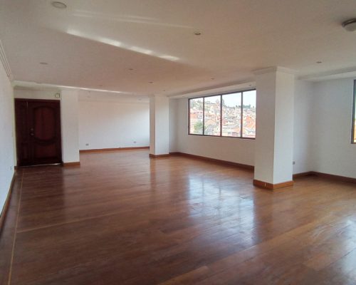 Oversized 3BDR Apartment in Gringolandia with Several Views - Social Area 1