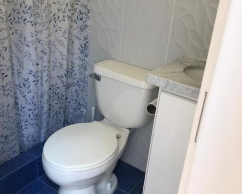 Remodeled Home For Sale On 1 De Mayo - Bathroom