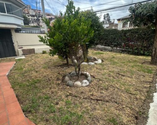 Spacious 6 Bedroom Home With Large Yard & Parking 1