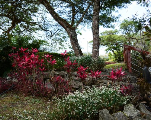 Stunning 4BDR Home in Exclusive Gated Community in Yunguilla Valley - Garden
