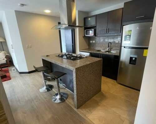 Stunning Furnished 2 BDR Apartment in Upscale Location.- 15