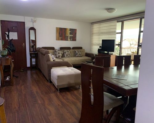 Fully Furnished Apartment in Centro Historico - Living 2