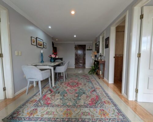 WhatsApp Image 2026 02 13 at 3.46.51 PM