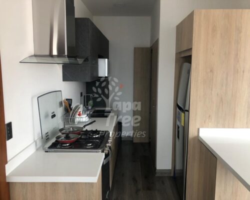 Your new cuenca home