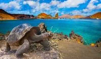 Galapagos Islands1